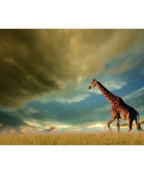 tablou-decorativ-giraffe-120x80-sticla-8982-4